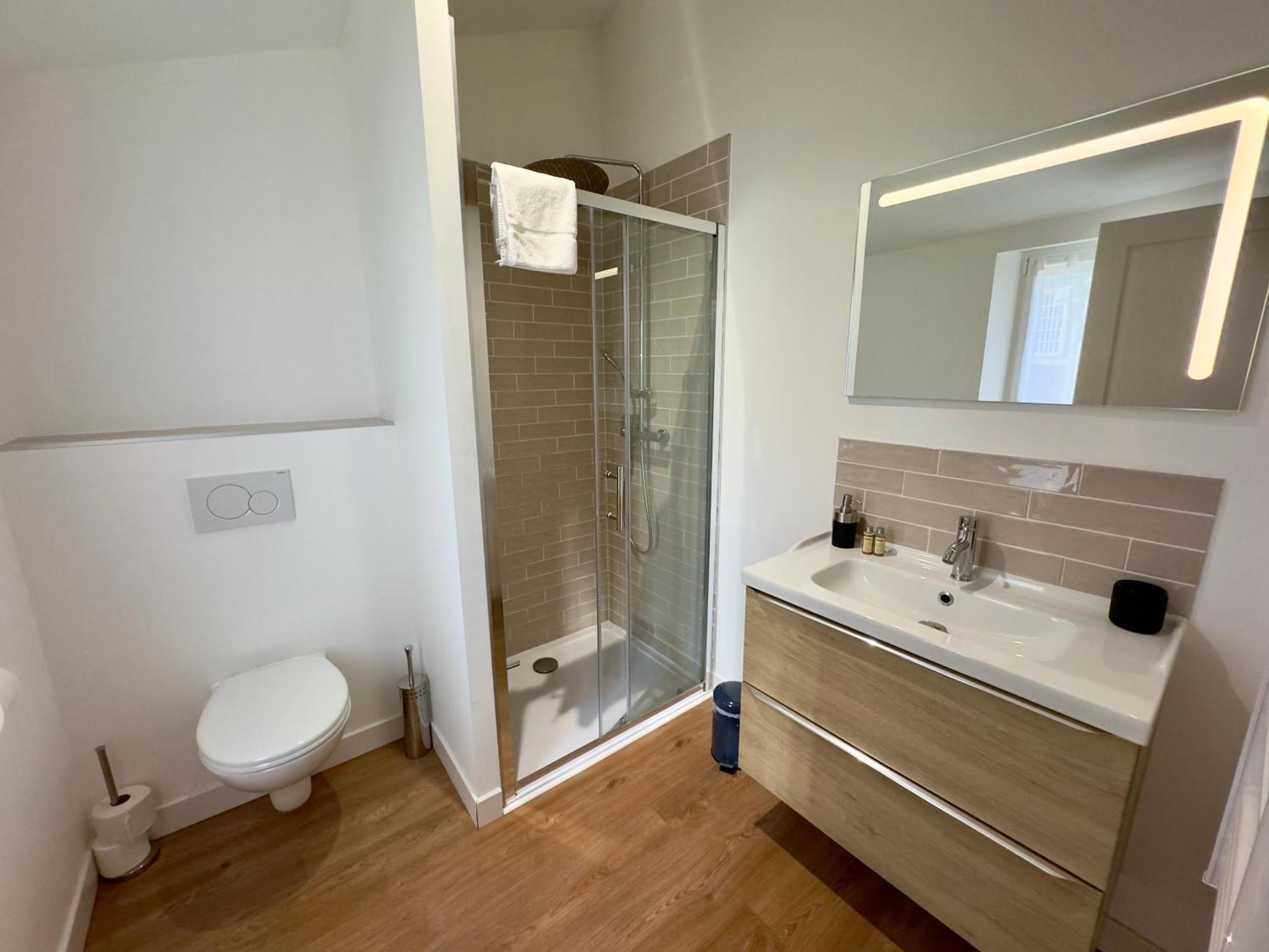 Centre Climatise Vue Chateau * Saumur