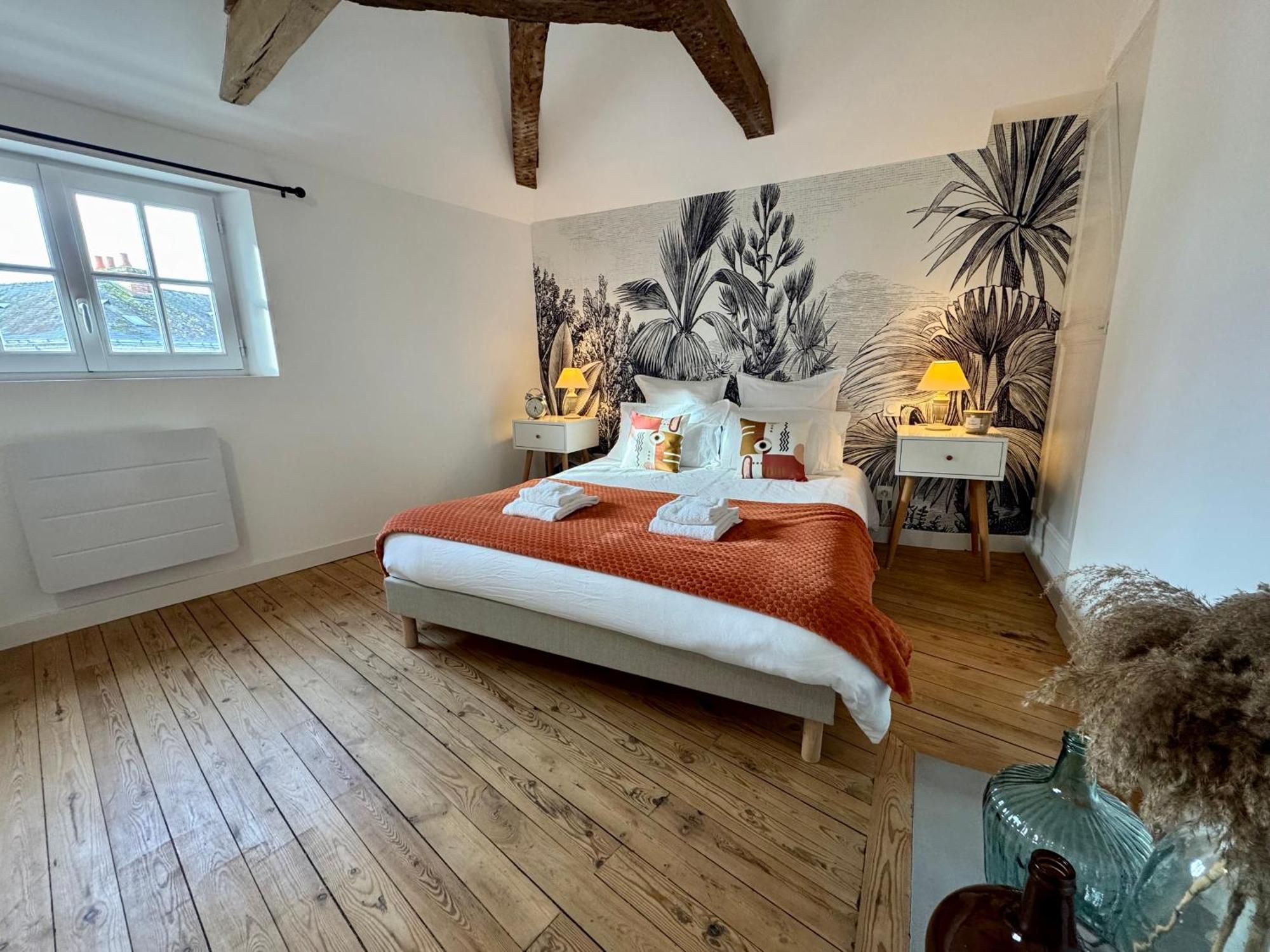 Centre Climatise Vue Chateau * Saumur