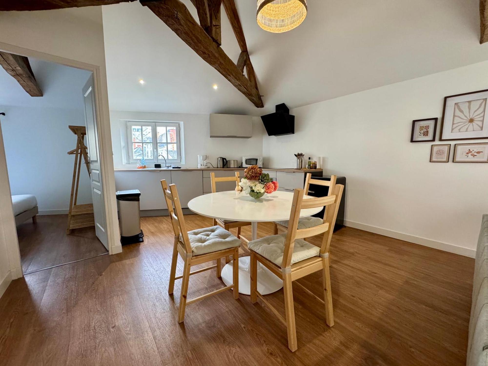 Centre Climatise Vue Chateau Apartment Saumur